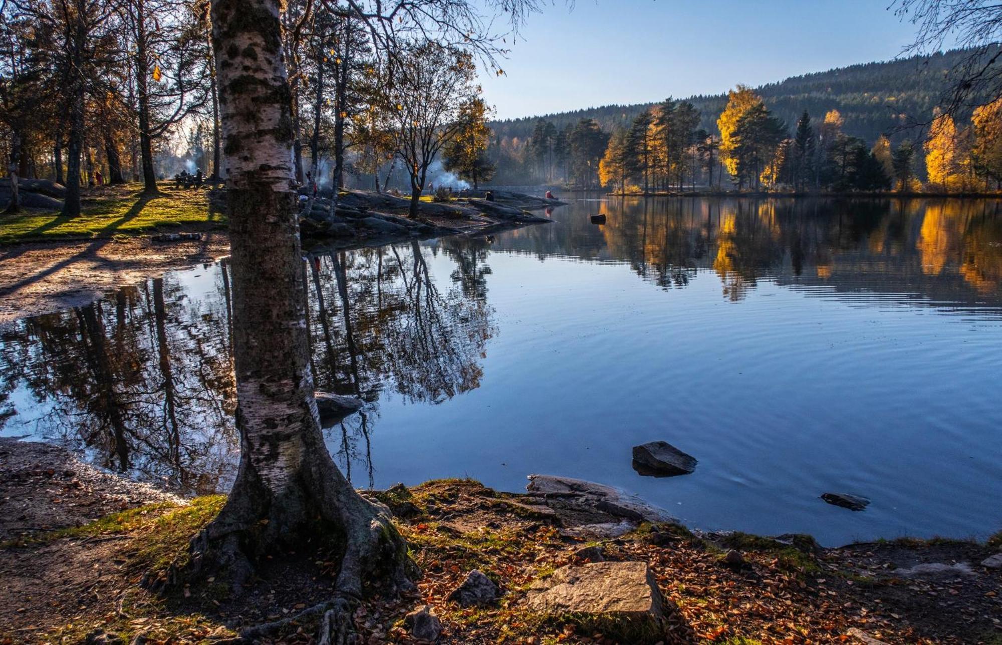 4 Bedroom Flat In The Heart Of Oslo Exterior foto